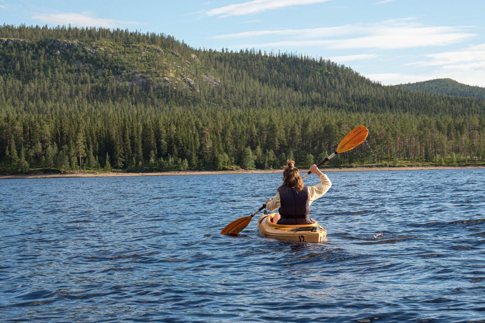 Rymlig Och Bekvaem Laegenhet, Fjaellterrassen * Lofsdalen